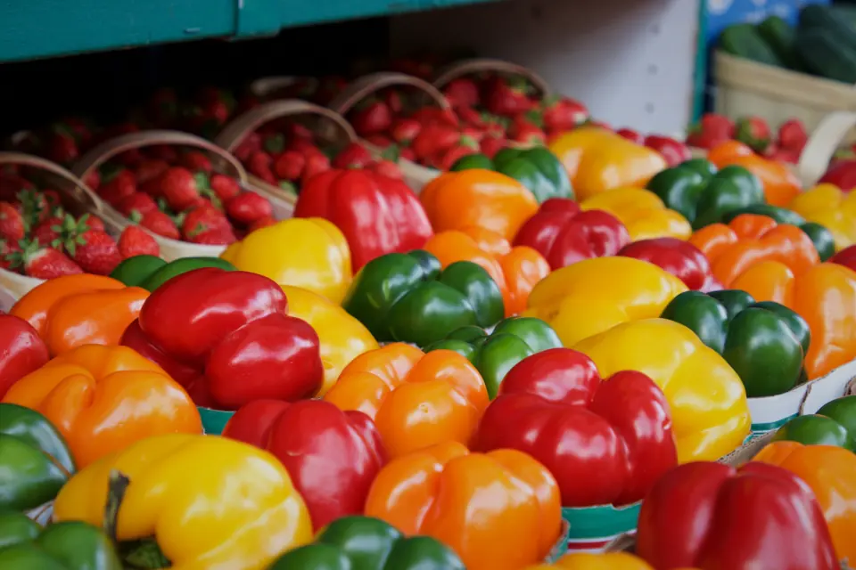 Perdre 5 kg durablement en retrouvant des horaires de repas réguliers